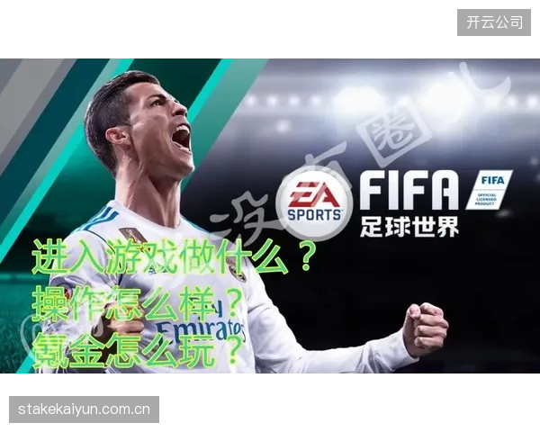 FIFA计划将大部分收入用于全球足球发展，韩国足协亦将从中获益。